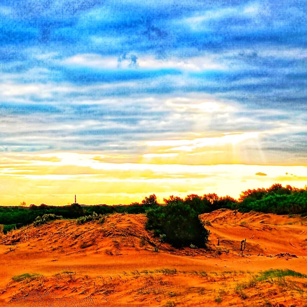 Equilibrio y bienestar para tu vida